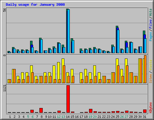 Daily usage for January 2008