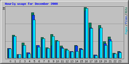 Hourly usage for December 2008