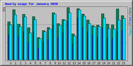 Hourly usage for January 2020