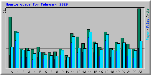 Hourly usage for February 2020